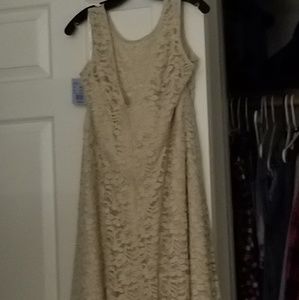 NWT size 20 champagne lace knee length dress